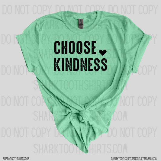 Choose Kindness Shirt